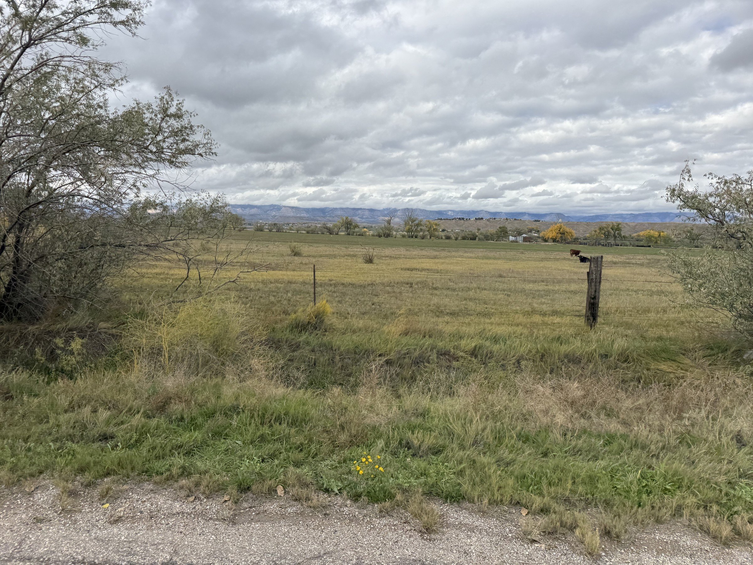 Fields near Carbon County’s Ridge Road park land, October 26, 2026.